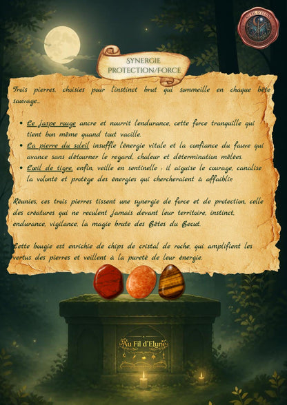 Le Bécou de Contis — Bougie Halloween 200 ml
