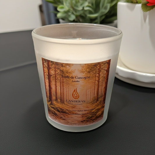 Forêt de Gascogne — Bougie 200 ml