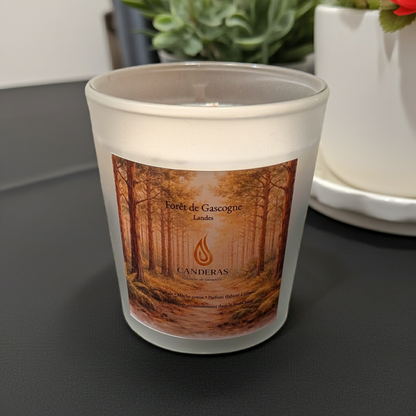 Forêt de Gascogne — Bougie 200 ml