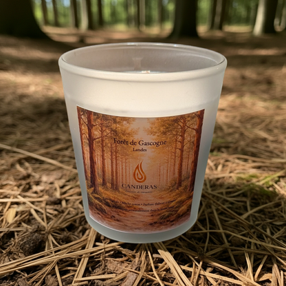 Forêt de Gascogne — Bougie 200 ml