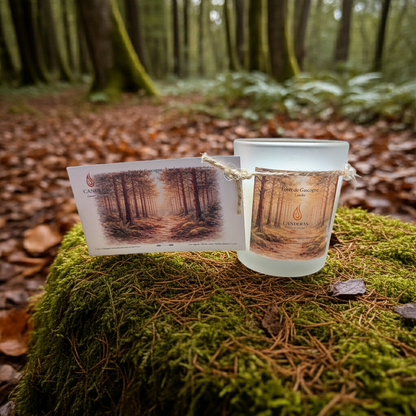 Forêt de Gascogne — Bougie 70 ml