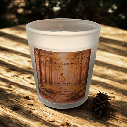 Bougie artisanale du Sud-Ouest Candèras Forêt de Gascogne en verre givré sur fond bois clair et mur texturé.