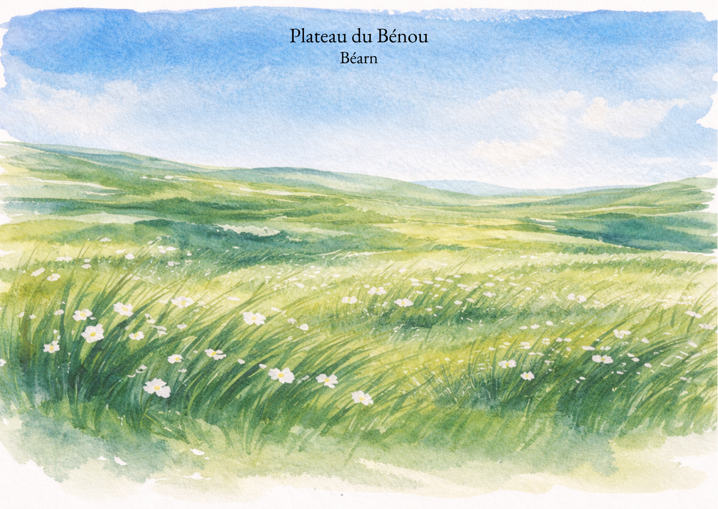 Carte postale Candèras Plateau du Bénou, illustration aquarelle d’une prairie du Béarn avec fleurs et collines