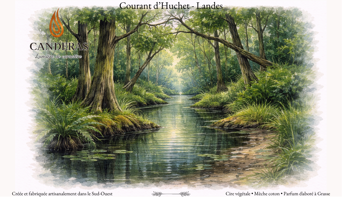 Recto de la carte Courant d’Huchet – illustration aquarelle du courant et de la forêt