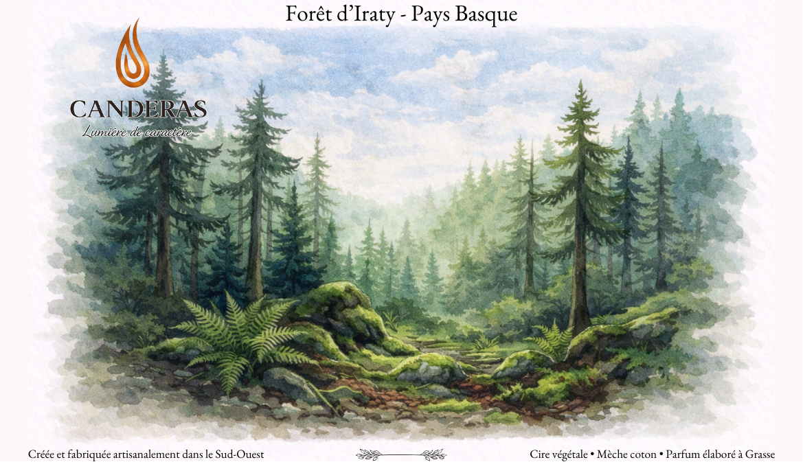 Carte postale aquarelle “Forêt d’Iraty – Pays Basque” illustrant une forêt de conifères avec rochers moussus et fougères, logo Candèras en haut à gauche.