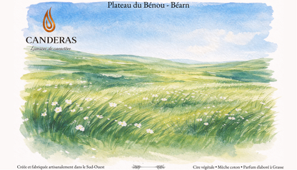 Illustration aquarelle « Plateau du Bénou – Béarn » (Candèras), paysage de prairie fleurie en vert et bleu.