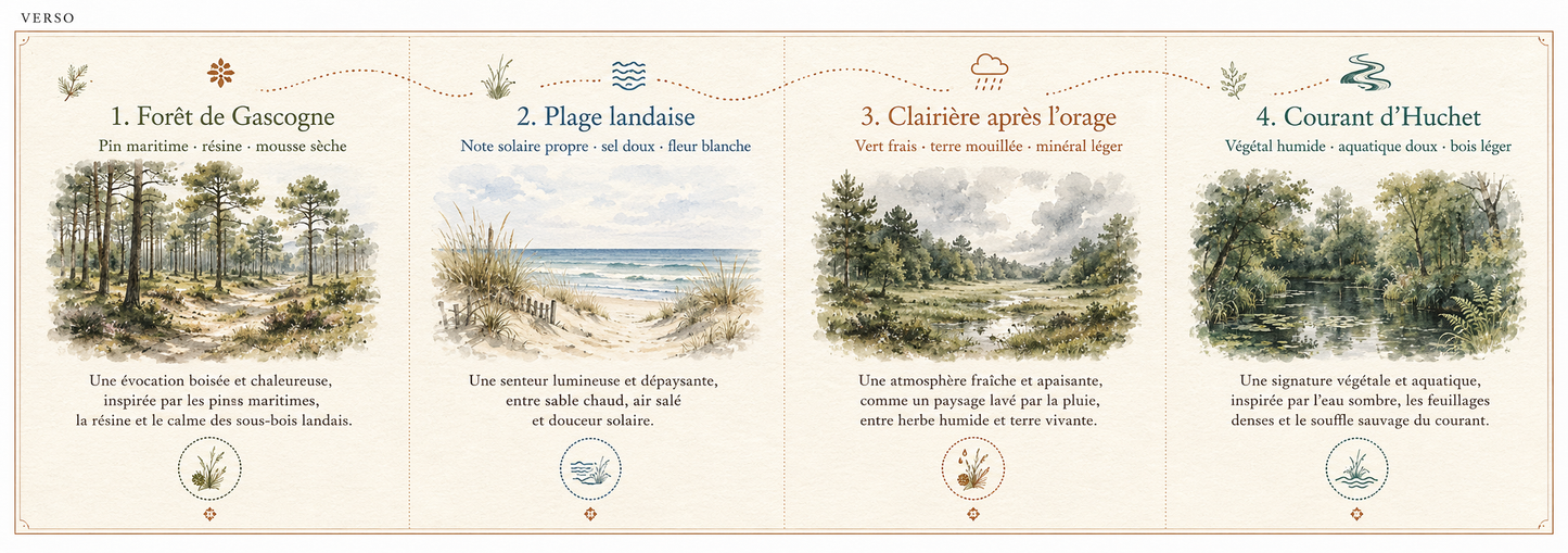 Pack découverte Landes