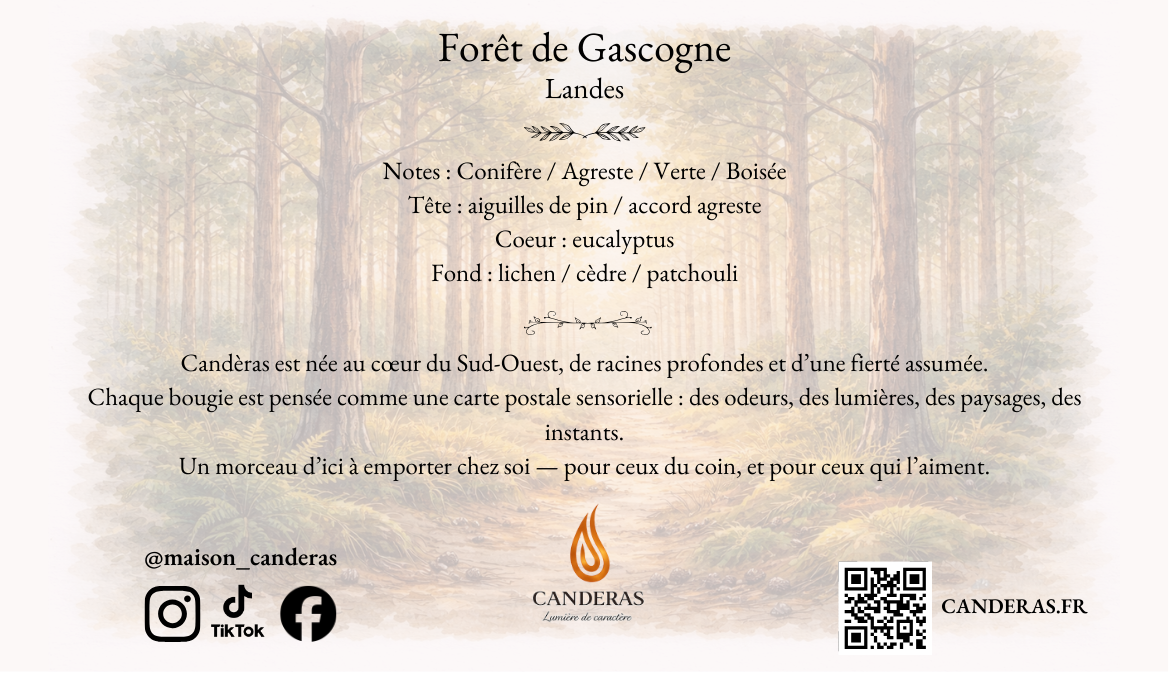 Verso de la carte postale “Forêt de Gascogne – Landes” avec la pyramide olfactive (conifère, agreste, verte, boisée), un texte de présentation Candèras, les icônes réseaux sociaux, un QR code et l’adresse CANDERAS.FR.
