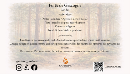 Verso de la carte postale “Forêt de Gascogne – Landes” avec la pyramide olfactive (conifère, agreste, verte, boisée), un texte de présentation Candèras, les icônes réseaux sociaux, un QR code et l’adresse CANDERAS.FR.