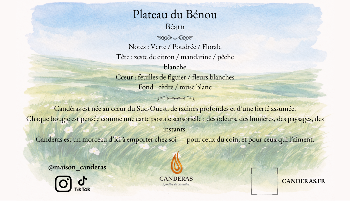 Plateau du Bénou — Bougie 200 ml
