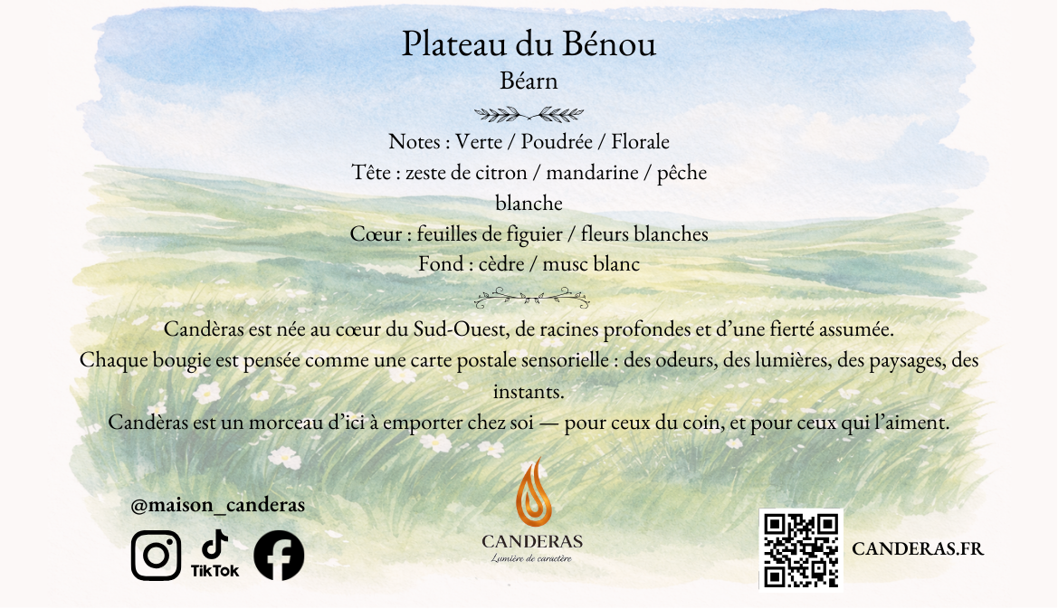 Verso de la carte « Plateau du Bénou – Béarn » : notes olfactives (verte, poudrée, florale) et pyramide (agrumes, figuier, fleurs blanches, cèdre, musc), texte Candèras + réseaux sociaux, QR code et CANDERAS.FR.