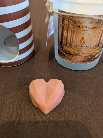 Forêt de Gascogne — Fondant parfumé 10 g