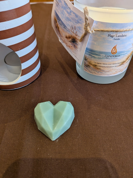 Plage landaise — Fondant parfumé 10 g