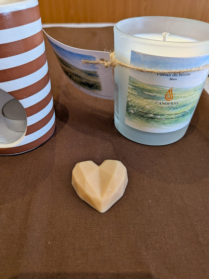 Plateau du Bénou — Fondant parfumé 10 g